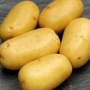Насіннєва картопля Бельмонда
