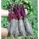 Буряк Таунус F1 (Taunus F1) 1000 насінин