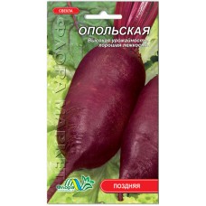 Столовая свекла Опольская