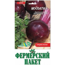 Столовая свекла Мулатка