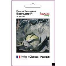 Капуста белокочанная среднепоздняя Бригадир F1, 20 семян, ТМ "Садыба Центр"