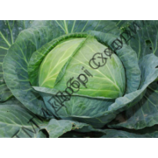 Капуста белокочанная среднепоздняя Атрия F1, 50 семян, ТМ "Добрі Сходи"