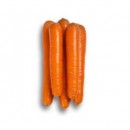 Морковь Джерада F1, 400 семян, ТМ "Добрі Сходи"