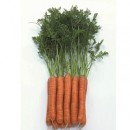 Морковь Монанта, 10 гр., ТМ "Добрі Сходи"