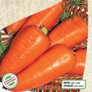 Морковь Шантанэ Ред Коред, 400 семян, ТМ "Добрі Сходи"