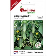 Огурцы Аккорд F1, 50 семян, ТМ "Садыба Центр"