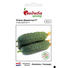 Огурец Директор F1, 10 семян,  ТМ "Садыба Центр"