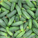 Огірок Гектор F1 (Hector F1), 20 насінин 