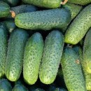 Огірок Престо F1 (Presto F1), 10 насінин