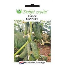 Огірок Бйорн F1 (Bjorn F1), 50 насінин, ТМ "Добрі Сходи"