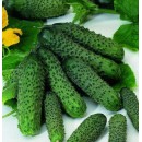 Огірок Пасалімо F1 (Pasalimo F1), 10 насінин