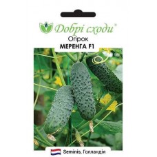 Огірок Меренга F1 (Merengue F1), 10 насінин, ТМ "Добрі Сходи"