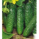 Огірок Мірабелл F1 (Mirabelle F1), 10 насінин