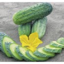 Огірок  Кріспіна F1 (Crispina F1), 10 насінин