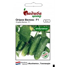 Огурцы Велокс F1, 10 семян,  ТМ "Садыба Центр"