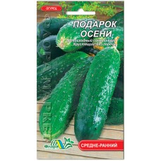Огірки Подарунок осені, 1 г., ТМ "Флора Маркет"