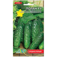 Огірок Полан F1, 0,5 г., ТМ "Флора Маркет"
