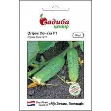 Огірок Соната F1, 20 насінин, Садиба