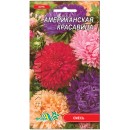 Астра пионовидная "Американская красавица", смесь, 0.3 гр., ТМ "Флора Маркет"