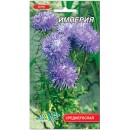 Астра игольчатая Империя, синяя, 0.3 гр., ТМ "Флора Маркет"