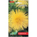 Астра игольчатая Память,  0.3 гр., ТМ "Флора Маркет"